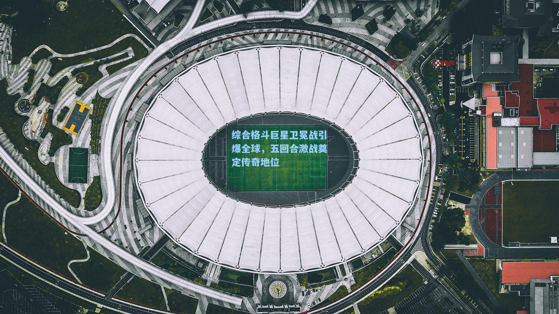综合格斗巨星卫冕战引爆全球，五回合激战奠定传奇地位