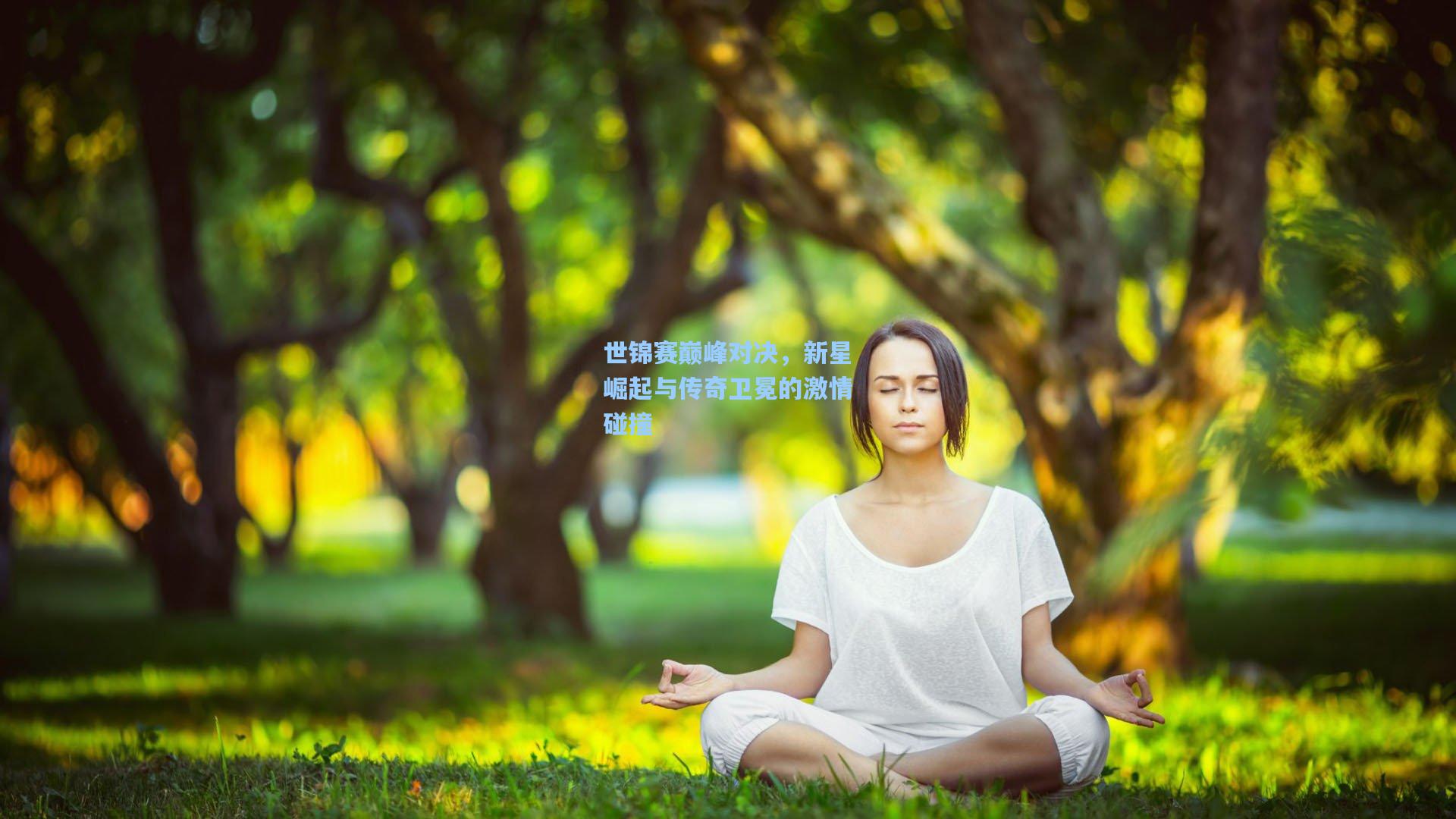 【28圈中文平台】世锦赛巅峰对决，新星崛起与传奇卫冕的激情碰撞